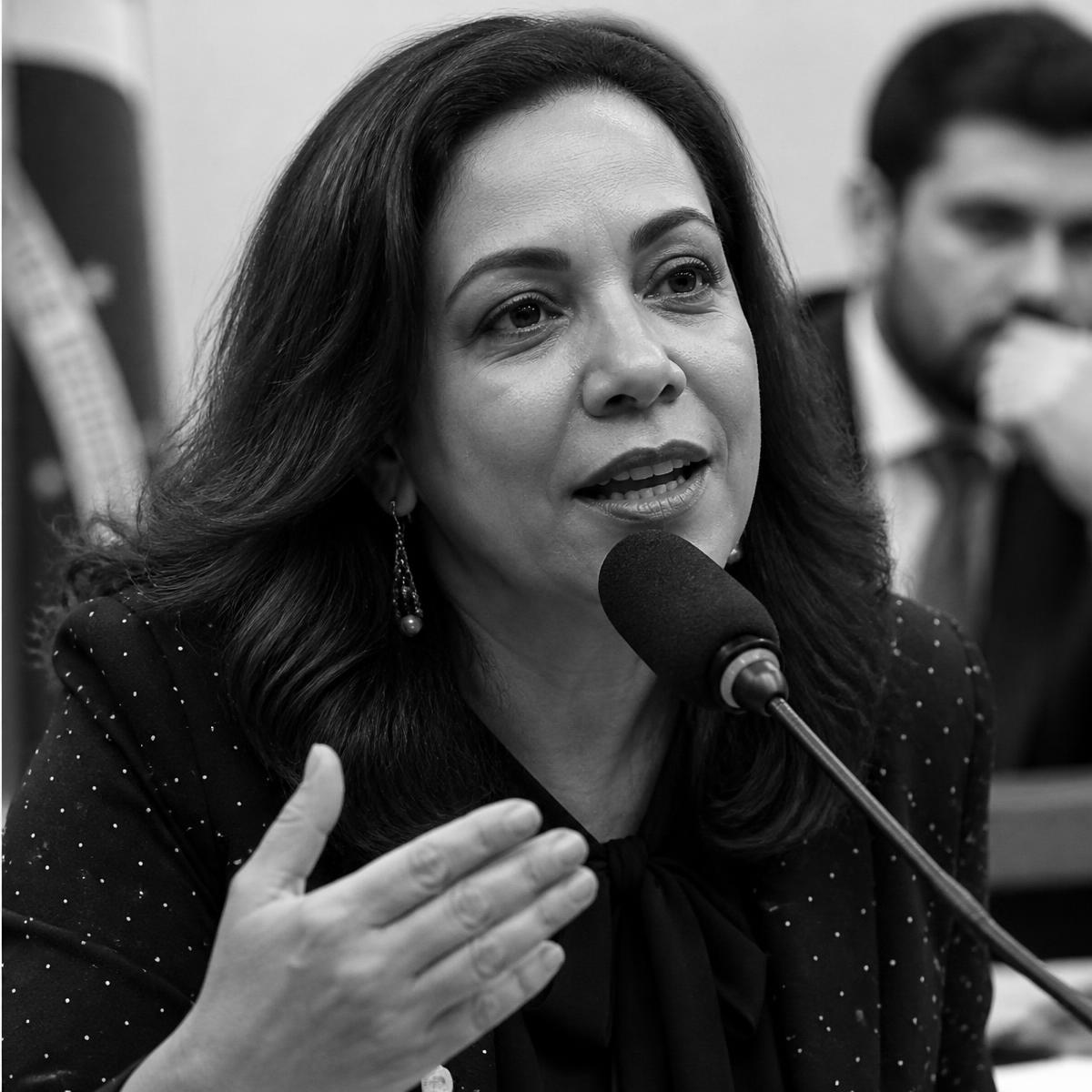 Audiência pública sobre escolas